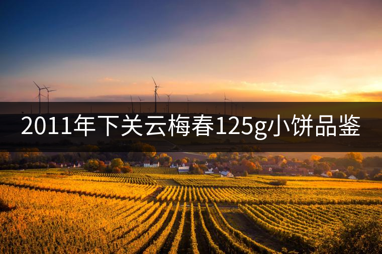 2011年下關云梅春125g小餅品鑒 2011年下關云梅春125g小餅品鑒