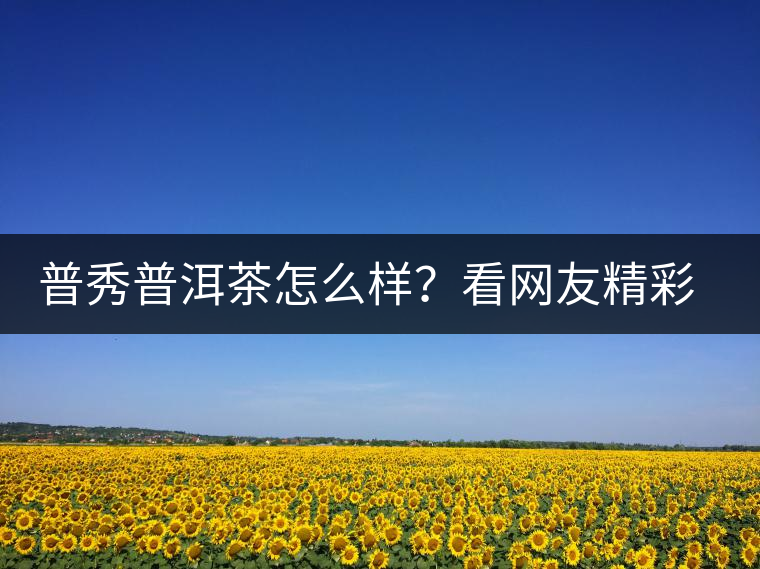 普秀普洱茶怎么樣？看網(wǎng)友精彩回答