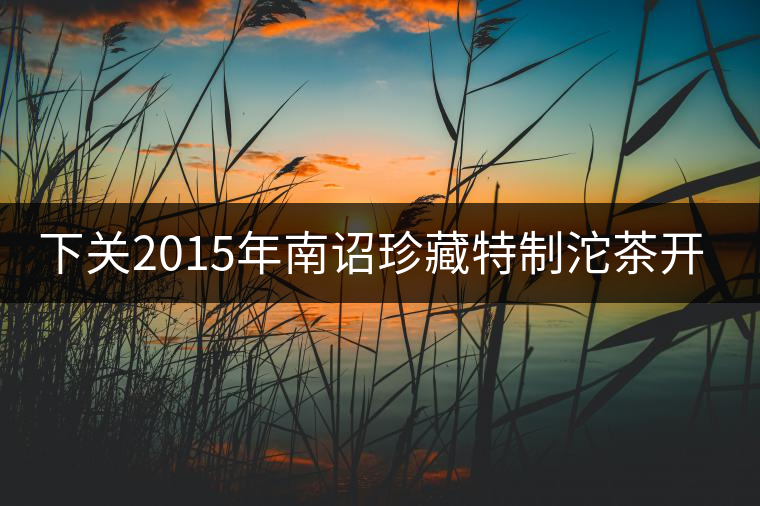 下關(guān)2015年南詔珍藏特制沱茶開湯品鑒