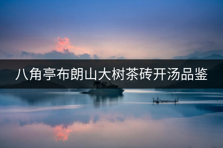 八角亭布朗山大樹茶磚開湯品鑒 八角亭布朗山大樹茶磚開湯品鑒