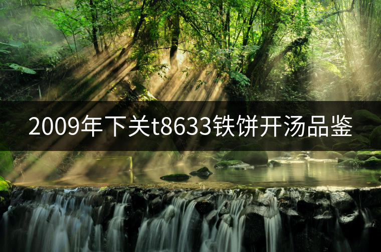 2009年下關t8633鐵餅開湯品鑒 2009年下關t8633鐵餅開湯品鑒