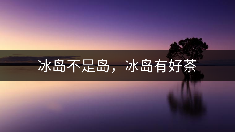 冰島不是島，冰島有好茶
