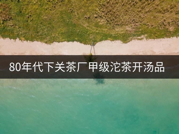 80年代下關(guān)茶廠甲級(jí)沱茶開湯品鑒