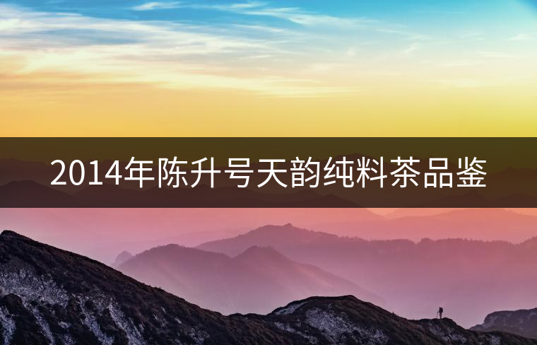 2014年陳升號(hào)天韻純料茶品鑒 2014年陳升號(hào)天韻純料茶品鑒