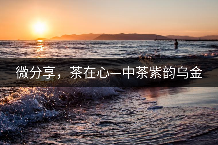 微分享，茶在心—中茶紫韻烏金