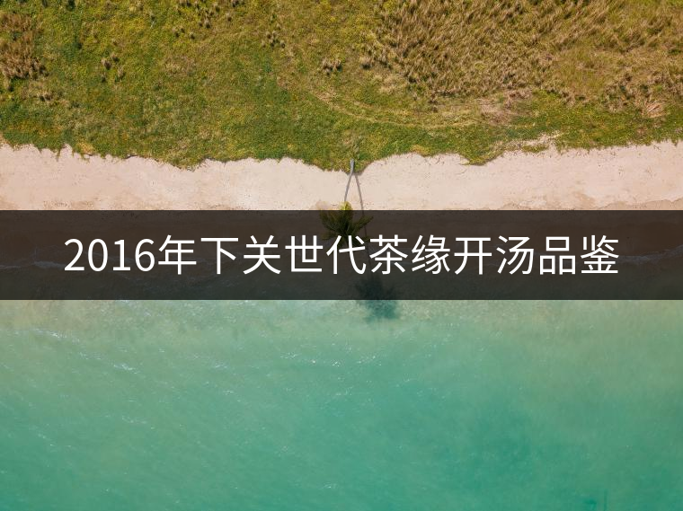 2016年下關(guān)世代茶緣開(kāi)湯品鑒 2016年下關(guān)世代茶緣開(kāi)湯品鑒