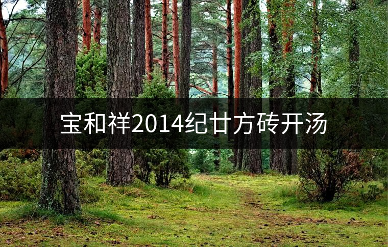 寶和祥2014紀(jì)廿方磚開(kāi)湯 寶和祥2014紀(jì)廿方磚開(kāi)湯