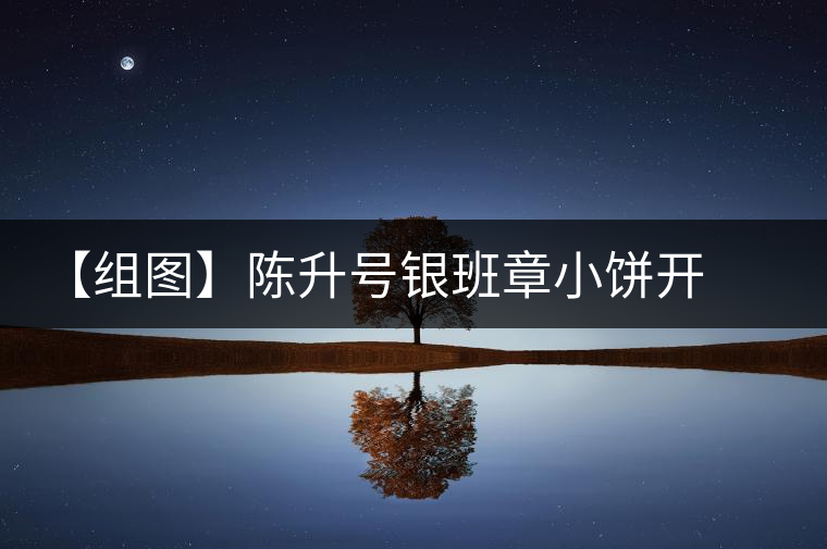 【組圖】陳升號銀班章小餅開湯 【組圖】陳升號銀班章小餅開湯