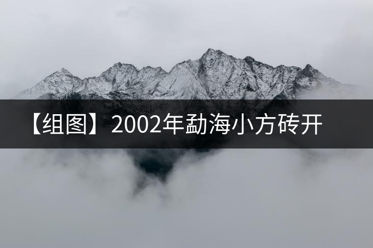 【組圖】2002年勐海小方磚開(kāi)湯