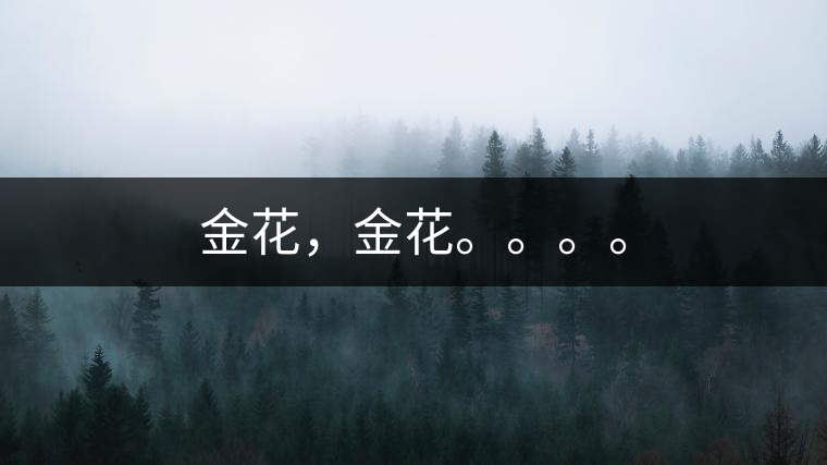 金花，金花。。。。