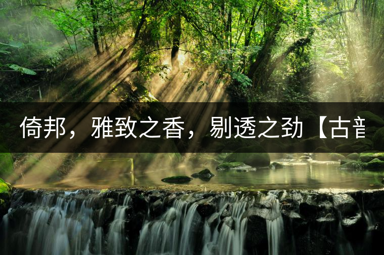 倚邦，雅致之香，剔透之勁【古普十二山品鑒】