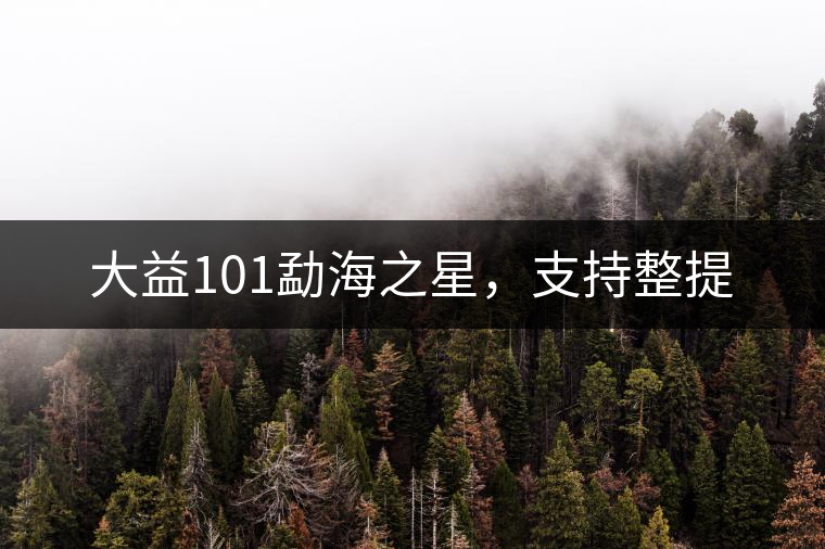 大益101勐海之星，支持整提