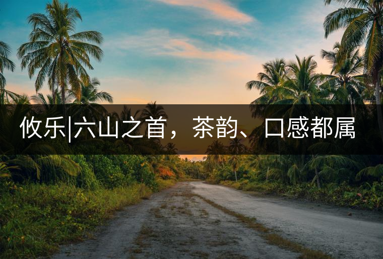 攸樂|六山之首，茶韻、口感都屬古六山一系