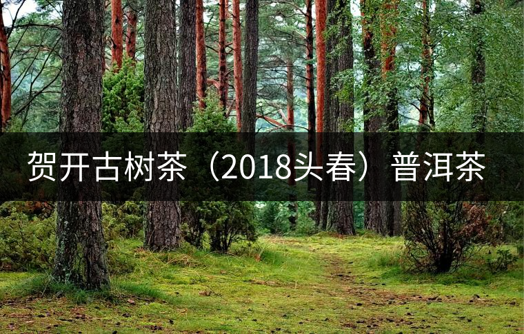 賀開古樹茶(2018頭春)普洱茶評(píng)測 賀開古樹茶(2018頭春)普洱茶評(píng)測