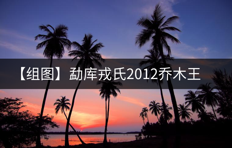 【組圖】勐庫戎氏2012喬木王開湯 【組圖】勐庫戎氏2012喬木王開湯