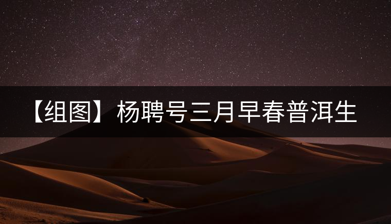 【組圖】楊聘號(hào)三月早春普洱生茶開(kāi)湯