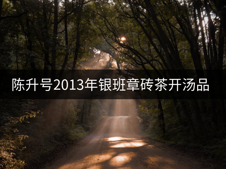 陳升號(hào)2013年銀班章磚茶開(kāi)湯品鑒