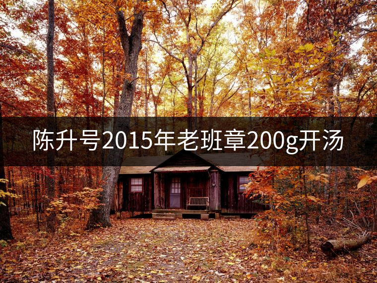 陳升號(hào)2015年老班章200g開湯 陳升號(hào)2015年老班章200g開湯