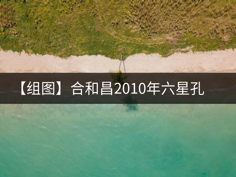 【組圖】合和昌2010年六星孔雀青餅開湯