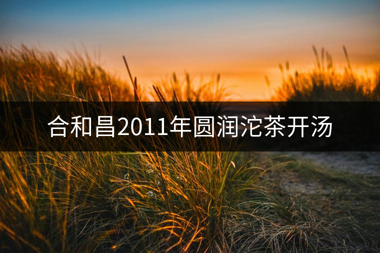 合和昌2011年圓潤(rùn)沱茶開湯