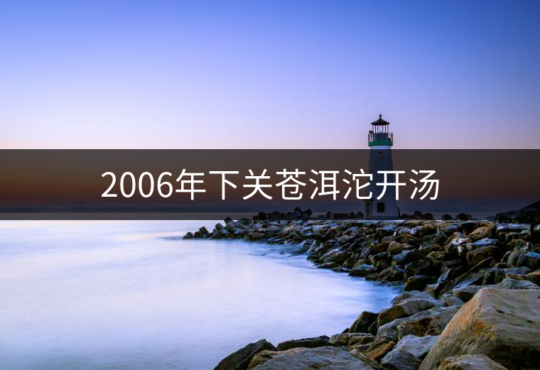 2006年下關(guān)蒼洱沱開(kāi)湯 2006年下關(guān)蒼洱沱開(kāi)湯