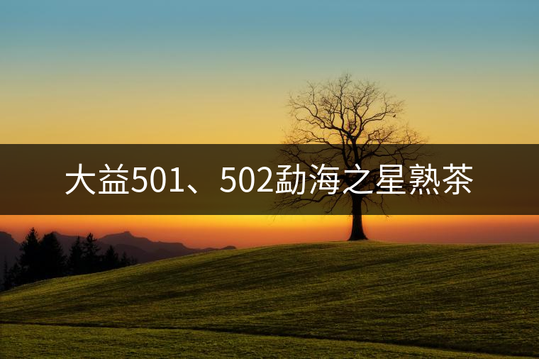 大益501、502勐海之星熟茶