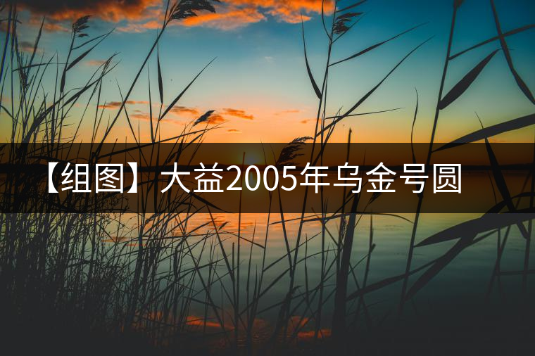 【組圖】大益2005年烏金號圓茶開湯