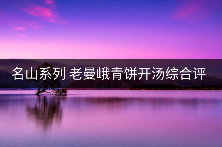 名山系列 老曼峨青餅開湯綜合評(píng)測(cè) 名山系列 老曼峨青餅開湯綜合評(píng)測(cè)