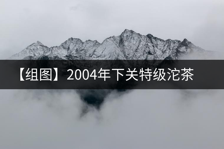 【組圖】2004年下關(guān)特級(jí)沱茶開(kāi)湯 【組圖】2004年下關(guān)特級(jí)沱茶開(kāi)湯