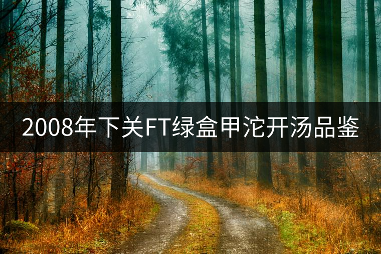 2008年下關(guān)FT綠盒甲沱開(kāi)湯品鑒