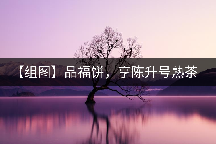 【組圖】品福餅，享陳升號(hào)熟茶滋味