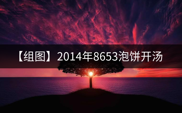 【組圖】2014年8653泡餅開(kāi)湯 【組圖】2014年8653泡餅開(kāi)湯