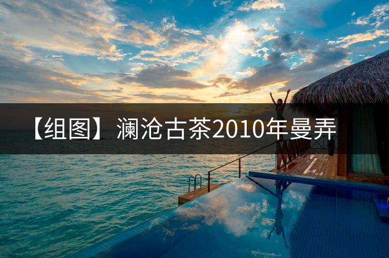 【組圖】瀾滄古茶2010年曼弄普洱茶開湯