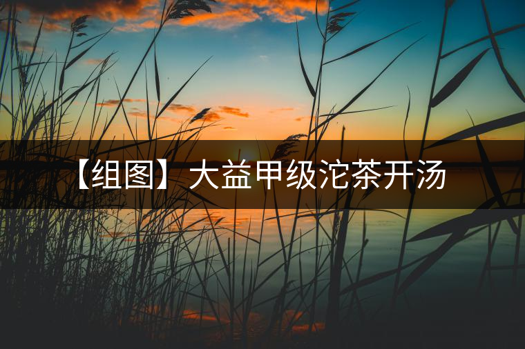 【組圖】大益甲級(jí)沱茶開湯