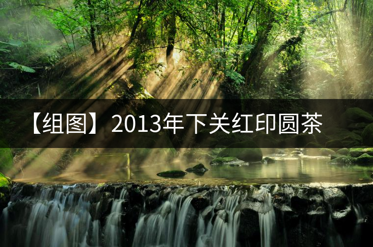 【組圖】2013年下關(guān)紅印圓茶開湯 【組圖】2013年下關(guān)紅印圓茶開湯