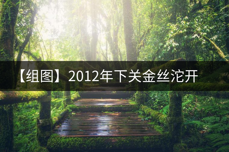 【組圖】2012年下關(guān)金絲沱開(kāi)湯