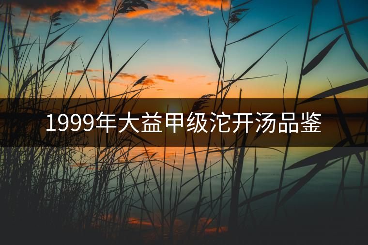 1999年大益甲級沱開湯品鑒 1999年大益甲級沱開湯品鑒