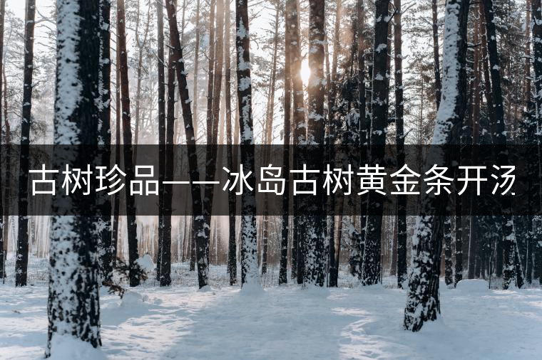 古樹珍品——冰島古樹黃金條開湯(圖閱) 古樹珍品——冰島古樹黃金條開湯(圖閱)