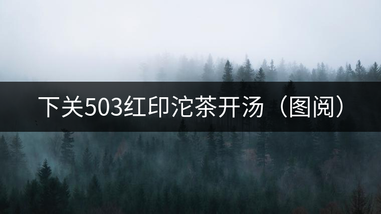 下關(guān)503紅印沱茶開(kāi)湯(圖閱) 下關(guān)503紅印沱茶開(kāi)湯(圖閱)