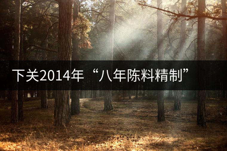 下關(guān)2014年“八年陳料精制”版高原陳開(kāi)湯