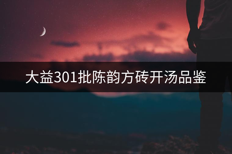大益301批陳韻方磚開湯品鑒 大益301批陳韻方磚開湯品鑒