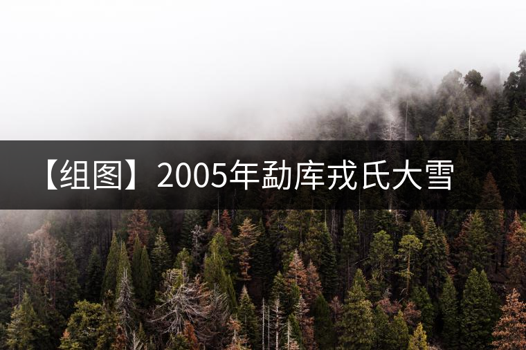 【組圖】2005年勐庫戎氏大雪山開湯 【組圖】2005年勐庫戎氏大雪山開湯