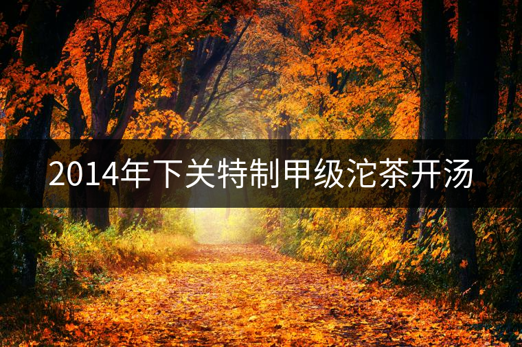 2014年下關(guān)特制甲級沱茶開湯