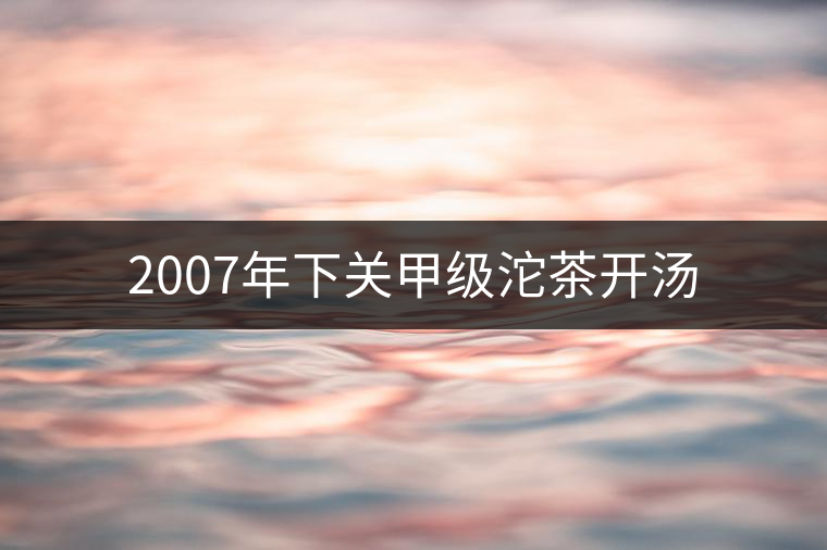 2007年下關甲級沱茶開湯