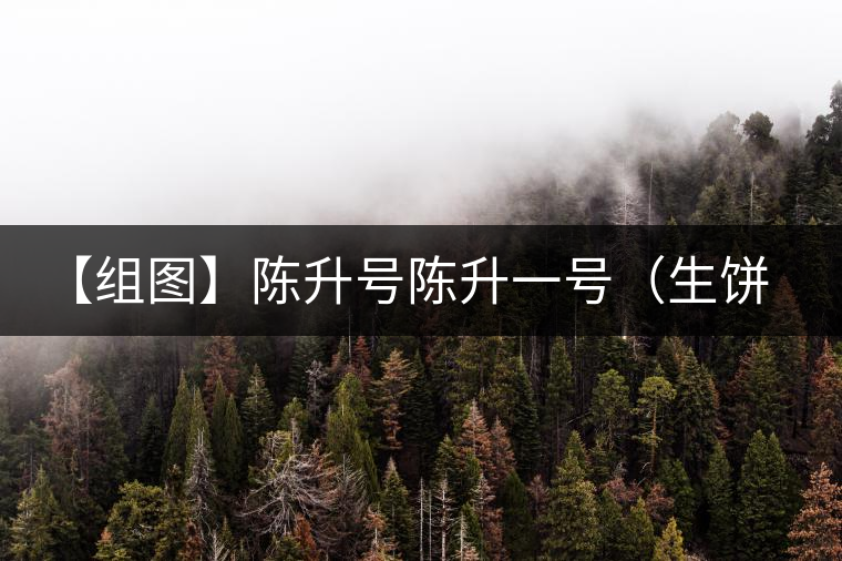 【組圖】陳升號(hào)陳升一號(hào)（生餅）開湯