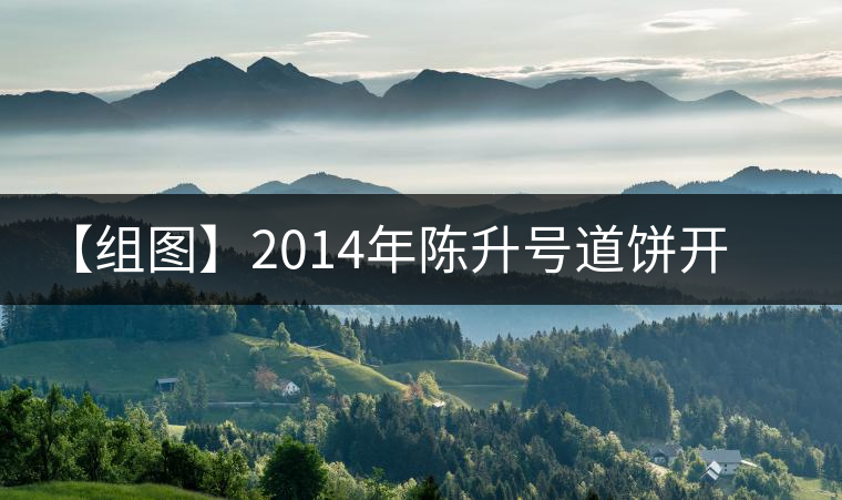 【組圖】2014年陳升號道餅開湯 【組圖】2014年陳升號道餅開湯