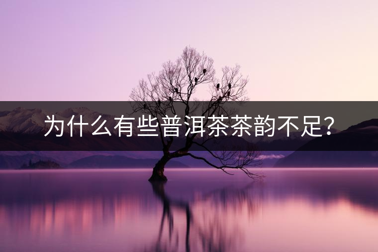 為什么有些普洱茶茶韻不足？