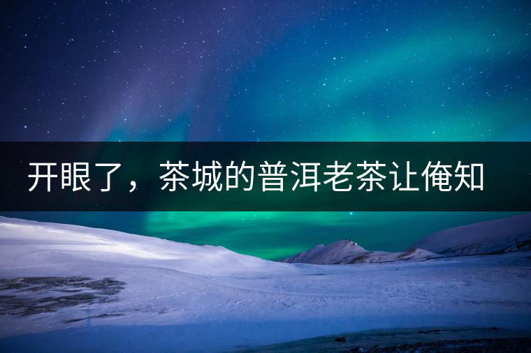 開眼了，茶城的普洱老茶讓俺知道了老茶樹