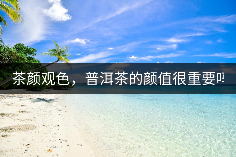 茶顏觀色，普洱茶的顏值很重要嗎？