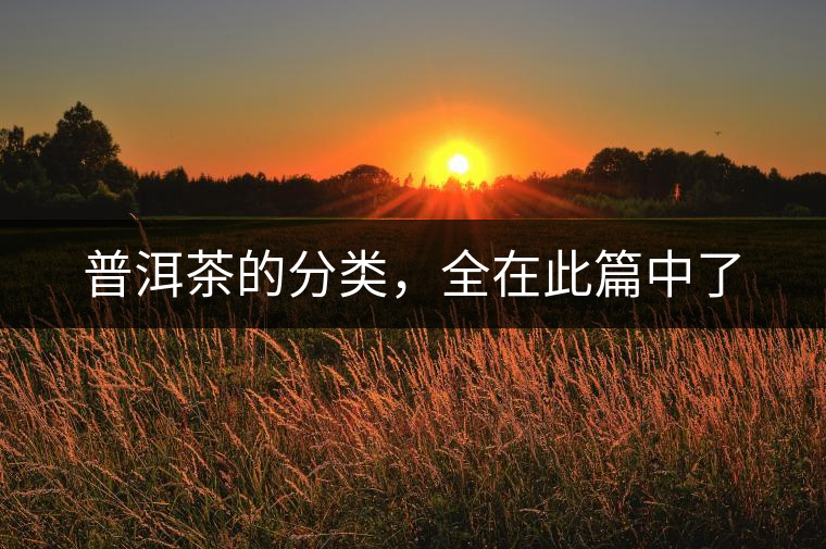普洱茶的分類，全在此篇中了